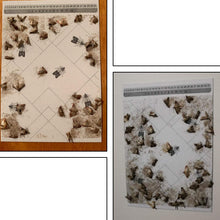 Carica l'immagine nel visualizzatore di Gallery, PIC Trappola Anti Tarme del Cibo - Confezione da 3 buste con due trappole =... - Ilgrandebazar