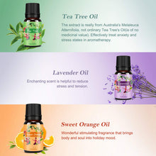 Carica l'immagine nel visualizzatore di Gallery, Oli Essenziali per Diffusori Top 6 Set - Aromaterapia Olio Essenziale Clear - Ilgrandebazar