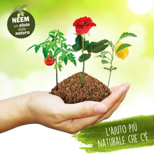 Carica l'immagine nel visualizzatore di Gallery, I Consigli Dell'Esperto Spray Olio di Neem Pronto all'Uso - Ilgrandebazar