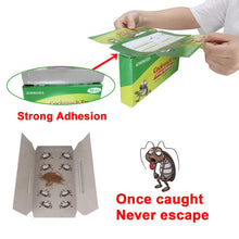Carica l'immagine nel visualizzatore di Gallery, Kimimara Cockroach Trappole, 12 Pcs Trappole per scarafaggi con Bait... - Ilgrandebazar