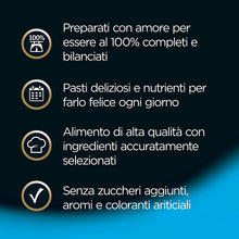 Carica l'immagine nel visualizzatore di Gallery, 1