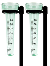 Carica l'immagine nel visualizzatore di Gallery, Lantelme, set di 2 pluviometri con paletto in plastica e vetro, colore: verde - Ilgrandebazar