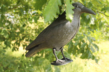 Carica l'immagine nel visualizzatore di Gallery, BREMA Corvo da Giardino, Nero, 38 cm - Ilgrandebazar