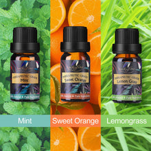 Carica l'immagine nel visualizzatore di Gallery, Oli Essenziali per Diffusori Top 6 Set - Aromaterapia Olio Essenziale... - Ilgrandebazar