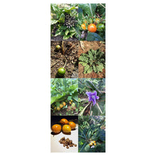Carica l'immagine nel visualizzatore di Gallery, Magic Garden Seeds varietà di Mandragora - Set Regalo Semi con Mandragora... - Ilgrandebazar