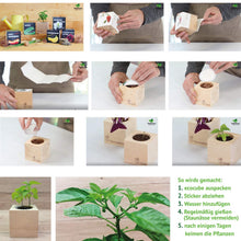 Carica l'immagine nel visualizzatore di Gallery, Feel Green Ecocube Set di Erbe con 5 varietà - 25% Risparmio nel Pacchetto,... - Ilgrandebazar