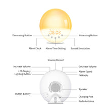 Carica l'immagine nel visualizzatore di Gallery, Wake Up Light, Luce Sveglia Funzione di Registrazione 9 Suoneria 30 Livelli... - Ilgrandebazar