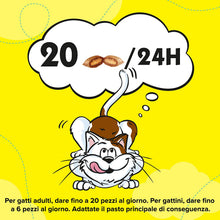 Carica l'immagine nel visualizzatore di Gallery, 27