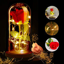Carica l'immagine nel visualizzatore di Gallery, ASANMU Kit di Rose La Bella e Bestia, Petali Rosa Elegante Cupola di... - Ilgrandebazar