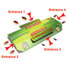 Carica l'immagine nel visualizzatore di Gallery, Kimimara Cockroach Trappole, 12 Pcs Trappole per scarafaggi con Bait... - Ilgrandebazar