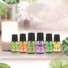 Carica l'immagine nel visualizzatore di Gallery, Oli Essenziali per Diffusori Top 6 Set - Aromaterapia Olio Essenziale Clear - Ilgrandebazar