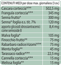 Carica l'immagine nel visualizzatore di Gallery, 1