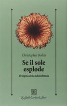 Carica l'immagine nel visualizzatore di Gallery, Se il sole esplode. L'enigma della schizofrenia - Ilgrandebazar