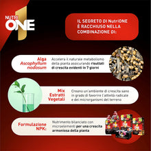 Carica l'immagine nel visualizzatore di Gallery, 6