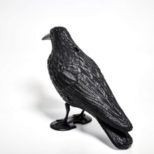 Carica l'immagine nel visualizzatore di Gallery, Blossom Design Corvo Scacciapiccioni 2a Generazione Spaventapasseri Big, nero - Ilgrandebazar