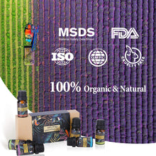 Carica l'immagine nel visualizzatore di Gallery, Oli Essenziali per Diffusori Top 6 Set - Aromaterapia Olio Essenziale... - Ilgrandebazar