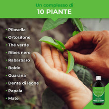 Carica l'immagine nel visualizzatore di Gallery, Drenante Dietyslim | Elimina le Tossine e i Liquidi | Effetto Detox