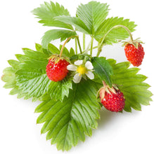 Carica l'immagine nel visualizzatore di Gallery, Click &amp; Grow 4742793006536 Strawberry Refill 3-Pack, Verde, 7x7x21 cm