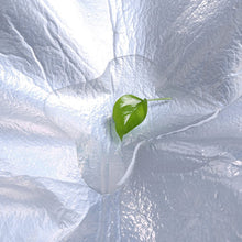 Carica l'immagine nel visualizzatore di Gallery, SONGMICS GCM50K - Coperta da Picnic, 195 x 150 cm, Impermeabile