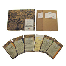 Carica l'immagine nel visualizzatore di Gallery, Piante profumate - set regalo di semi con 6 piante da fiore piacevolmente... - Ilgrandebazar