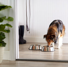 Carica l'immagine nel visualizzatore di Gallery, AmazonBasics - Ciotola per cani in acciaio INOX - Confezione da 2