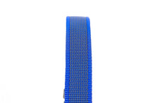 Carica l'immagine nel visualizzatore di Gallery, Collare K9 serie Color &amp; Gray, 25 mm x 39-65 cm, blu, 25 x cm - Ilgrandebazar