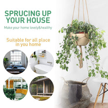 Carica l'immagine nel visualizzatore di Gallery, JamBer 6 Pezzi Macrame Plant Hanger Fatto a Mano Appeso Corda di Cotone... - Ilgrandebazar