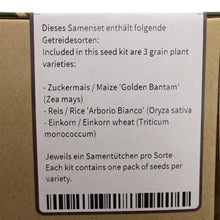 Carica l'immagine nel visualizzatore di Gallery, Assortimento di cereali - set regalo semi con 3 specie antichi... - Ilgrandebazar