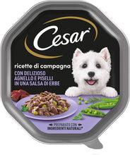Carica l'immagine nel visualizzatore di Gallery, 8