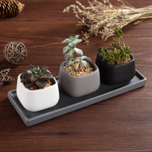 Carica l'immagine nel visualizzatore di Gallery, T4U 7CM Ceramica Moderno Mini Piazza Succulento X-Small, Piccolo Vaso: