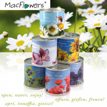 Carica l'immagine nel visualizzatore di Gallery, Extragifts Fiori in lattina - Girasole giallo - Ilgrandebazar
