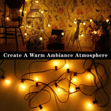 Carica l'immagine nel visualizzatore di Gallery, OxyLED Catene luminose,[LED Versione] G40 7.62metri 12 G40-led-12pcs - Ilgrandebazar