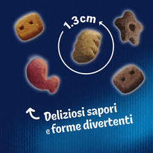 Carica l'immagine nel visualizzatore di Gallery, 16