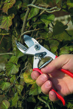 Carica l'immagine nel visualizzatore di Gallery, FELCO 6996010 Forbici per Potatura - Ilgrandebazar