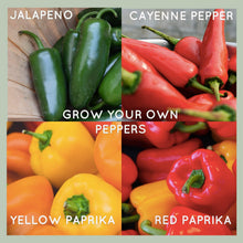 Carica l'immagine nel visualizzatore di Gallery, Kit Semi Peperoncino Peperoni Piccante Set Di Coltivare Peperoncini... - Ilgrandebazar