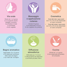 Carica l'immagine nel visualizzatore di Gallery, OLI ESSENZIALI BIOLOGICI di Lavanda, Eucalipto, Menta Piperita, Limone,... - Ilgrandebazar