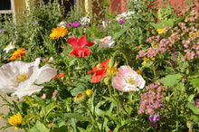 Carica l'immagine nel visualizzatore di Gallery, Carta per seminare in diverse forme, confezione da 100 pezzi Flower - Ilgrandebazar