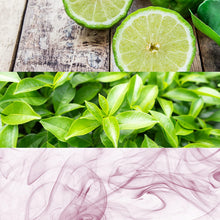 Carica l'immagine nel visualizzatore di Gallery, 11