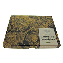 Carica l'immagine nel visualizzatore di Gallery, Piante profumate - set regalo di semi con 6 piante da fiore piacevolmente... - Ilgrandebazar