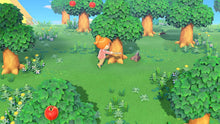 Carica l'immagine nel visualizzatore di Gallery, Animal Crossing: New Horizons