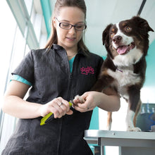 Carica l'immagine nel visualizzatore di Gallery, Pecute Tagliaunghie Cane E Lima Unghie Professionale in Acciaio Inossidabile per Cani Gatti Medi e Grandi