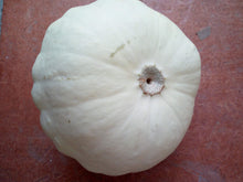 Carica l'immagine nel visualizzatore di Gallery, SEMI ZUCCA PATTY PAN (PATISSON) - Ilgrandebazar