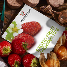 Carica l'immagine nel visualizzatore di Gallery, Thompson &amp; Morgan Crescere Kit Regalo Scatole - Esotico Frutta - Ilgrandebazar