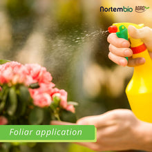 Carica l'immagine nel visualizzatore di Gallery, NortemBio Agro Solfato di Magnesio Naturale 700 g. Uso Universale. 700 g - Ilgrandebazar