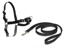 Carica l'immagine nel visualizzatore di Gallery, PetSafe Croci C5066239 Pettorina x-large, Black - Ilgrandebazar