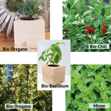 Carica l'immagine nel visualizzatore di Gallery, Feel Green Ecocube Set di Erbe con 5 varietà - 25% Risparmio nel Pacchetto,... - Ilgrandebazar