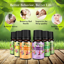 Carica l'immagine nel visualizzatore di Gallery, Oli Essenziali per Diffusori Top 6 Set - Aromaterapia Olio Essenziale Clear - Ilgrandebazar