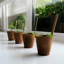 Carica l'immagine nel visualizzatore di Gallery, Kit Semi Peperoncino Peperoni Piccante Set Di Coltivare Peperoncini... - Ilgrandebazar