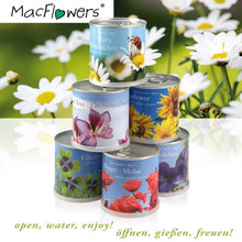 Carica l'immagine nel visualizzatore di Gallery, Extragifts Fiori in lattina - BAMBOO verde - Ilgrandebazar