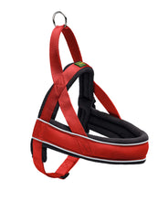 Carica l'immagine nel visualizzatore di Gallery, HUNTER Pettorina Norvegese Racing Gr. LNylon Rosso/Pile Nero large, Red - Ilgrandebazar